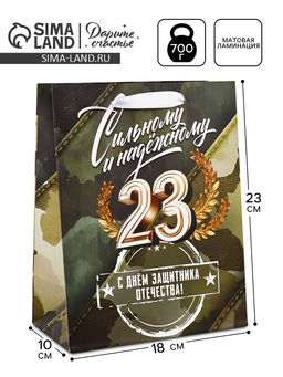 Пакет подарочный ламинированный «23 февраля», MS 18×23×10 см