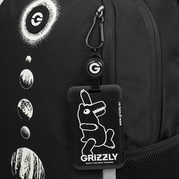 RB-651-2 Рюкзак школьный с картхолдером на держателе - Grizzly фото 30