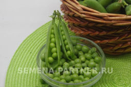 Горох овощной Премиум - Партнер фото 3