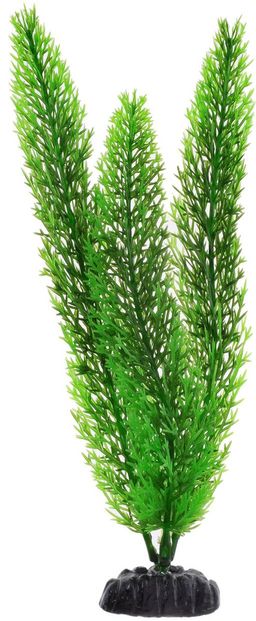 Растение Plant 015 Роголистник зелёный 30 см. PLANT 015/30