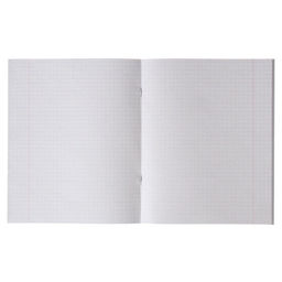 Цена за 20 шт. Тетрадь 48 листов в клетку Calligrata Листья, МИКС  фото 5