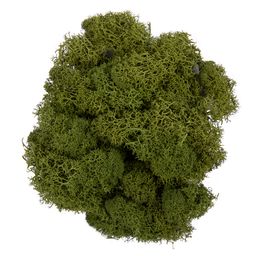 Blumentag BMSR-50 Мох стабилизированный окрашенный 50 г  5 г №01 салатовый  фото 8