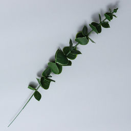 Цена за 12 шт. Декоративная ветка «Эвкалипт», 39×4.5×4.5 см