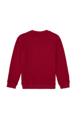 Erkek _ocuk Koyu Frambuaz Bisiklet Yaka Sweatshirt - U.s. polo assn фото 2