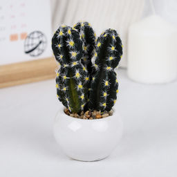 Цветочная композиция Кактус / WER-10 /уп 12/192/ микс