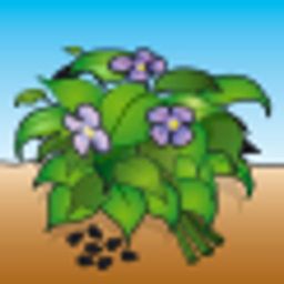 Тимьян Богородская трава - Аэлита фото 5