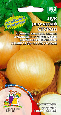 Лук репчатый СТУРОН  Устойчив к болезням! Крупные, крепкие, острые луковицы! Не стрелкуется! Высокая урожайность! Хранится до нового урожая!