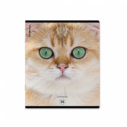 Цена за 5 шт. Тетрадь общая ученическая ErichKrause Cats, 96 листов, клетка, матовая ламинация_MIX-PACK фото 6