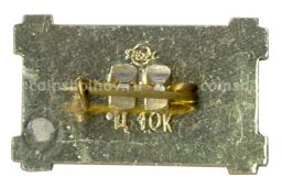 Значок Ceplu Saiesana