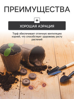 Цена за 6 шт. Набор для рассады: торфяной горшок 6×6 см, кассета на 6 ячеек, 17.5×13.5 см, Greengo  фото 5