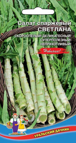Салат СВЕТЛАНА Уникальный спаржевый тип! Съедобные листья и стебель!