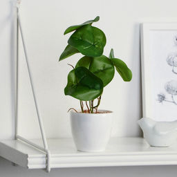 Искусственный цветок в горшке Антуриум галант, 7.5?20 см