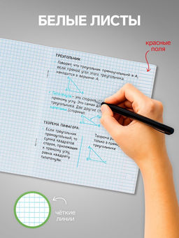 Набор тетрадей, 48 листов в клетку, Calligrata «Авокадо», 5 штук