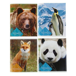 Цена за 4 шт. Тетрадь 96 листов в клетку Calligrata «Животные», обложка мелованный картон, блок №2, белизна 75% (серые листы), МИКС Цена за 4 шт. Тетрадь 96 листов в клетку Calligrata «Животные», обложка мелованный картон, блок №2, белизна 75% (серые листы), МИКС