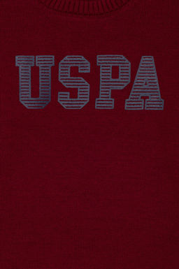 U. S. Polo Assn Бордовый трикотажный свитер с круглым вырезом для мальчика - U.s. polo assn фото 3