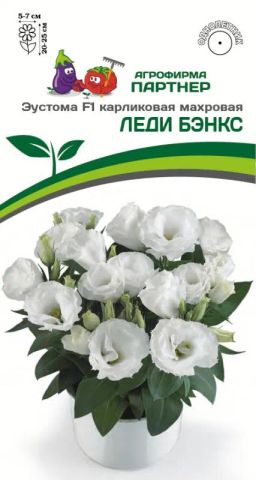 Эустома карликовая махровая белая Леди Бэнкс