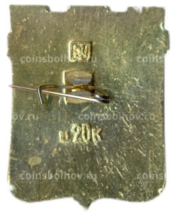 Значок Ижевск