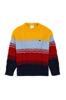 Erkek _ocuk Hardal Bisiklet Yaka Kazak