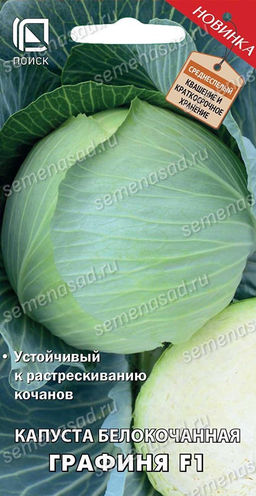 Капуста белокочанная Графиня F1 (А) (ЦВ) 0,2гр.