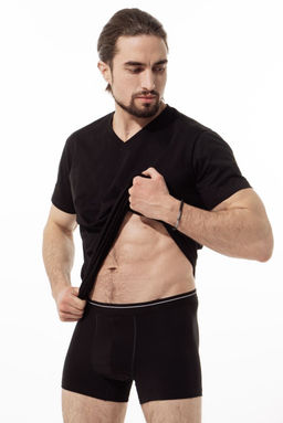 ФУТБОЛКА МУЖСКАЯ арт. 1900M-20096.2L-911