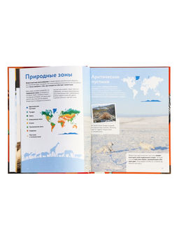 Энциклопедия в твёрдом переплёте "Животные", 128 страниц