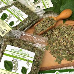 Боровая матка (лист) - Мариславна фото 6