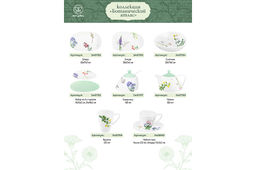 Салатник 20*17,5*6 см 850 мл Ботанический атлас - Elan gallery фото 18