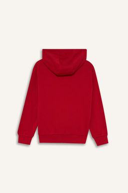 Kap__onlu Bask_l_ Sweatshirt Erkek _ocuk - Defacto фото 8