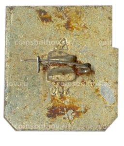 Значок Владимир