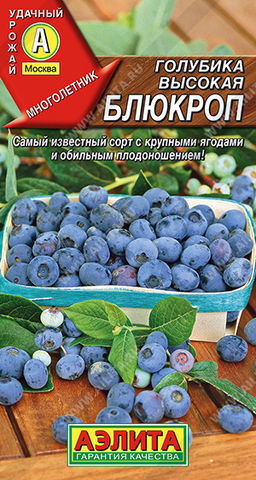 0363A Голубика высокая Блюкроп 0,01гр