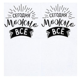 Цена за 2 шт. Салфетки бумажные «Сегодня можно всё», однослойные, 24×24 см, набор 20 шт.