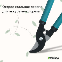 Сучкорез плоскостной, 14,6 (37 см), металлические ручки с поролоновыми накладками, Greengo  фото 2