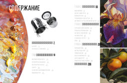 Живопись маслом от А до Я. Портрет маслом. Шимшилашвили А. - Колибри фото 2