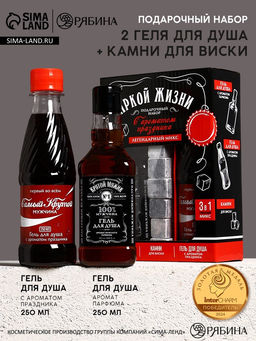 Подарочный набор Яркой жизни, гель для душа виски и кола, 2?250 мл, камни для виски, Чистое счастье
