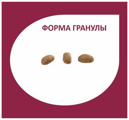 Скидка 50%!!! Гранплюс сухой корм для взрослых собак средних и крупных пород индейка и рис, 10,1 кг - Granplus фото 4