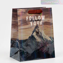 Пакет ламинированный Гора, радужная голография, MS 18 х 23 х 10 см