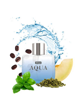 Dilis COOL AQUA Туалетная вода для мужчин 100 мл