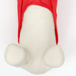 Футболка-поло для животных, XL (ДС 40, ОГ 50, ОШ 33 см), красная - Simaland фото 5