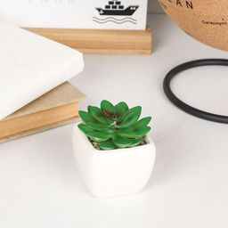 Цветочная композиция Кактус / FA2890 /уп 12/192/