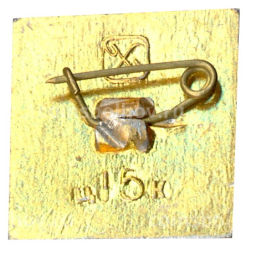 Значок Челябинск