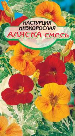 Аляска настурция 40см 1гр (ссс)
