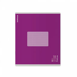 Цена за 10 шт. Тетрадь школьная ученическая ErichKrause FineLine, 18 листов, линейка, матовая ламинация, блок 80 г/м2_MIX-PACK фото 6