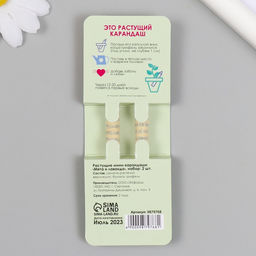 Набор для выращивания, карандаши подарочные «Мята и Лаванда», mini, простые чернографитные, 2 шт.