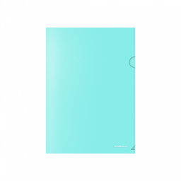 Цена за 12 шт. Папка-уголок пластиковая ErichKrause Diagonal Pastel, A4, непрозрачный, ассорти (в пакете по 12 шт.)  фото 5