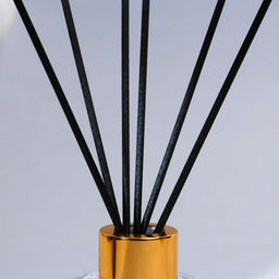 Диффузор ароматический палочки «Новогодняя коллекция: Тепла и уюта», аромат яблоко, 50 мл.