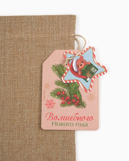 Цена за 5 шт. Мешок подарочный «Волшебного Нового года», 20×30 см