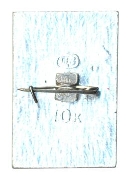 Значок Дубна