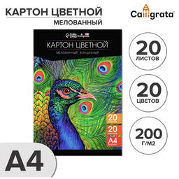 Картон цветной А4, 20 листов, 20 цветов, волшебный (золото+серебро) Calligrata TOP, мелованный 200 г/м2, в папке