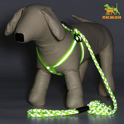 Комплект Плетенка, флуоресцентный, поводок 115 х 1 см, ОГ 32-48 х 1,5 см, зелёный