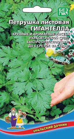 Петрушка листовая ГИГАНТЕЛЛА